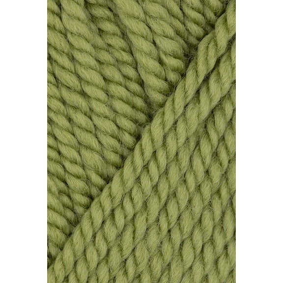 Ewe Ewe - Baa Baa Bulky Knitting Yarn - Pistachio (# 50)