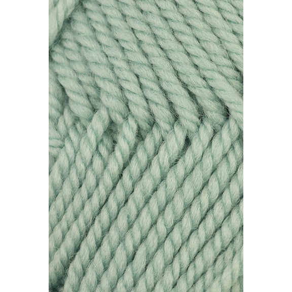 Ewe Ewe - Wooly Worsted Knitting Yarn - Aquamarine (# 70)