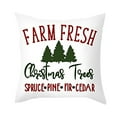 Ewgqwb Throw Pillows & Pillow Cases Back Cushion Christmas Letter