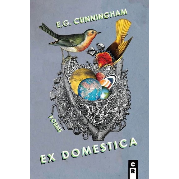 Ex Domestica (Paperback)