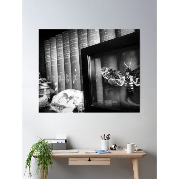 Ex Libris Pt. 1 Poster Wall Art, Modern Wall Decor For Living Room Bedroom, 12x18 UNFRAMED