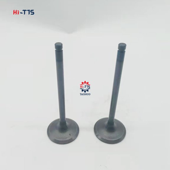 Ex Valve S6K-Access Inlet Valve