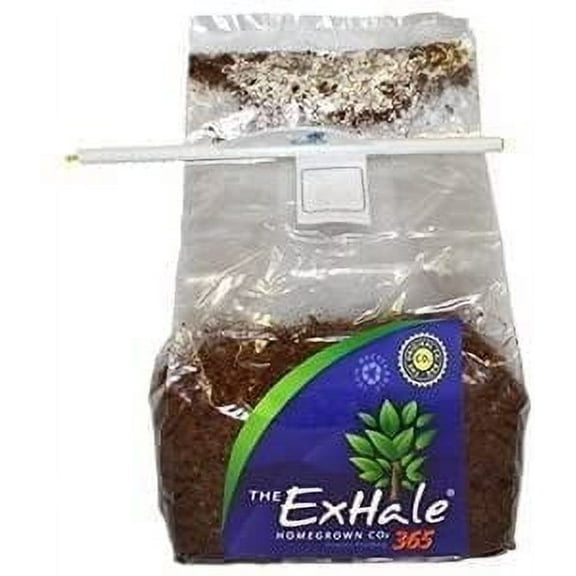 ExHale CO2 Exhale 365-Self Activated CO2 Bag (1)