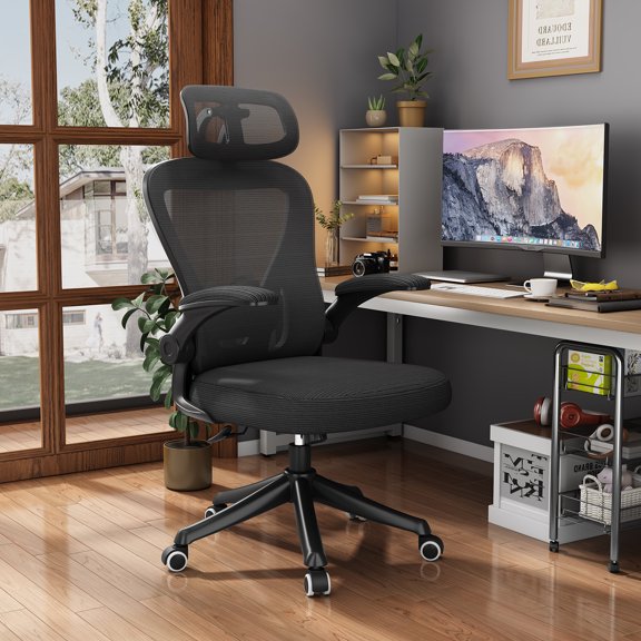 ExOffice Home Office Chair, Ergonnomic Mesh Computer Desk Chair with Adjustable Lumbar Support, Office Desk Chair the Comfy, Black