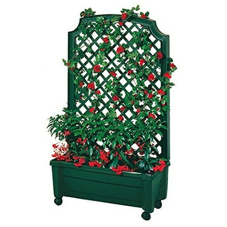 Exaco Calypso Planter