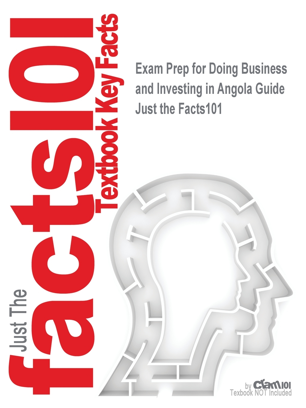 Exam Prep for Doing Business and Investing in Angola Guide - Walmart.com