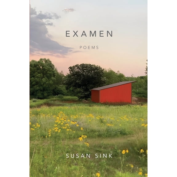 Examen, (Paperback)
