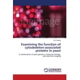 thumbnail image 1 of Examining the function of cytoskeleton-associated proteins in yeast (Paperback), 1 of 1