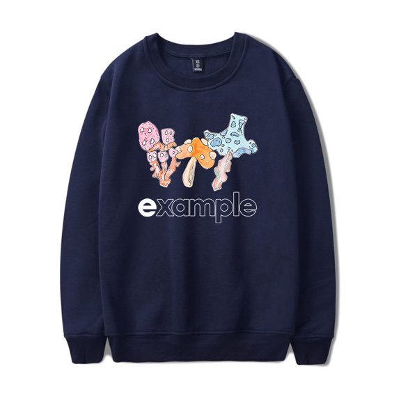 Example Merch Hoodie unisex long sleeved retro casual round neck pullover