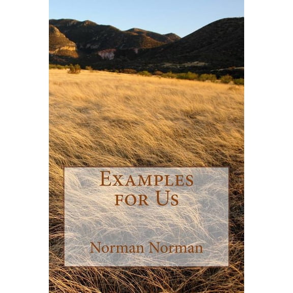 Examples for Us (Paperback)