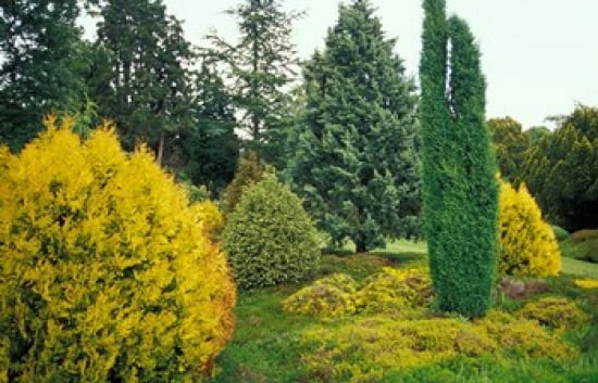 Exbury Gardens Rothschild Estate New Forest Hampshire England Canvas Art - Nik Wheeler DanitaDelimont (35 x 23)