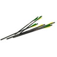 thumbnail image 1 of Excalibur Firebolt Carbon Arrows 20 in.6pk 22CAV-6, 1 of 2
