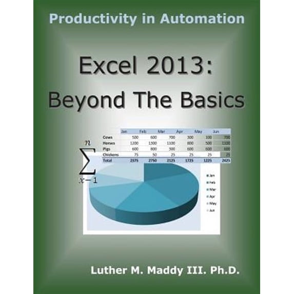 Excel 2013 : Beyond the Basics