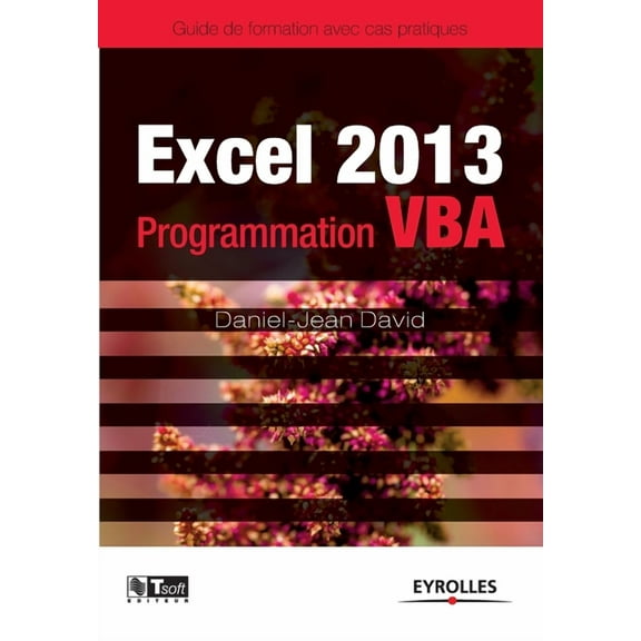 Excel 2013 - Programmation VBA (Paperback)