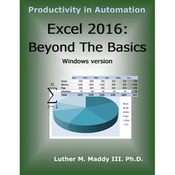 Excel 2016 : Beyond the Basics