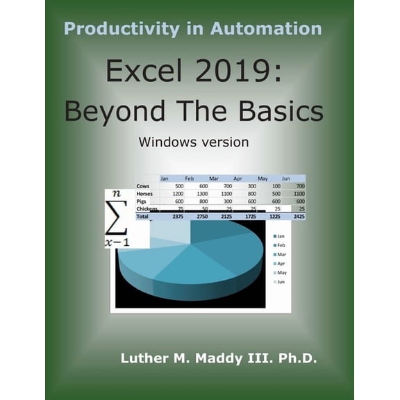 Excel 2019: Beyond the Basics (Paperback)