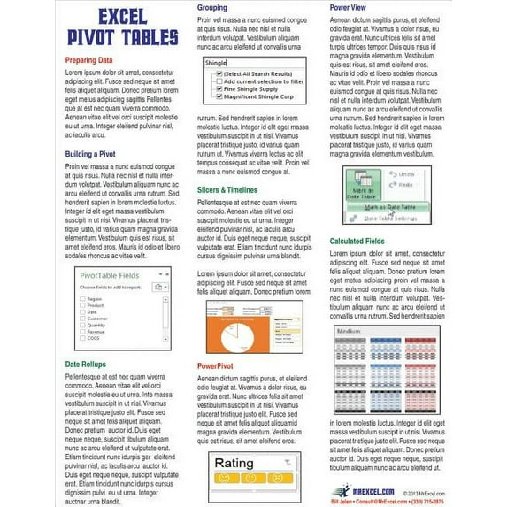 Excel Pivot Tables Laminated Tip Card : Pivot Table Tricks from MrExcel (Other)