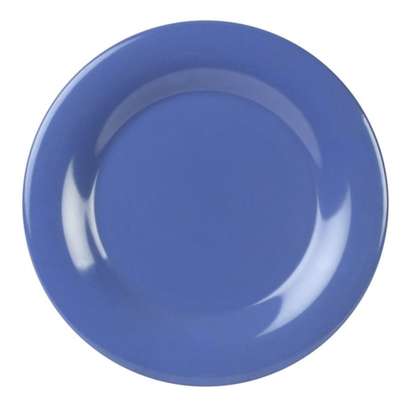Excellante Color Purple Melamine Dinnerware Collection 10.5 Inch Wide Rim Round Plate, Comes in Dozen