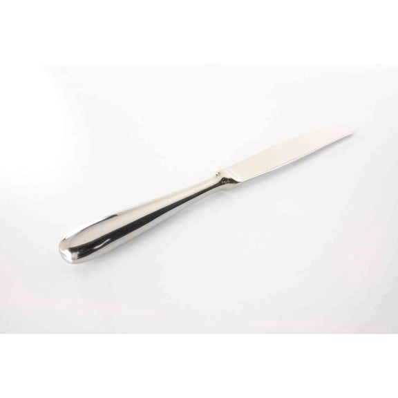 Excellante Flatware-Diamond stainless steel hollow handle dinner knife, comes in dozen