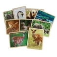 thumbnail image 1 of Excellerations Animal Families Around the World Wooden Puzzles and Posters Set of 9, 1 of 1