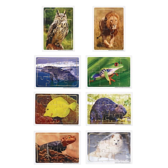 Excellerations Animals in Their Biomes Puzzles - Set of 8