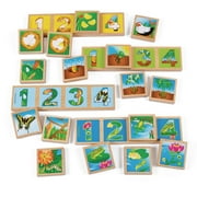 Excellerations earlySTEM Life Cycles Sequencing Lotto