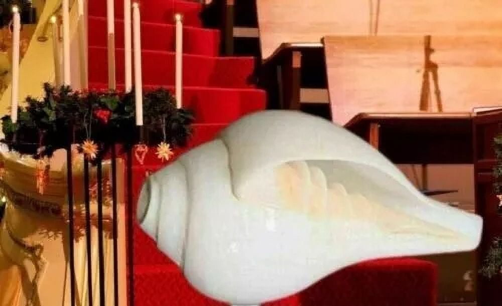 Exclusive Global Ecom 100%Genuine 3" Hindu Puja Blowing Conch Shell (Bajanewala Puja Shankh) Diwali Havan