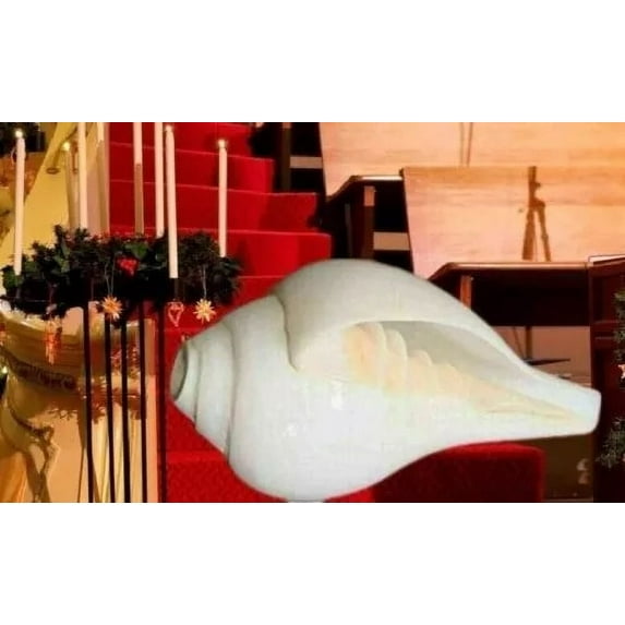 Exclusive Global Ecom 100%Genuine 3" Hindu Puja Blowing Conch Shell (Bajanewala Puja Shankh) Diwali Havan