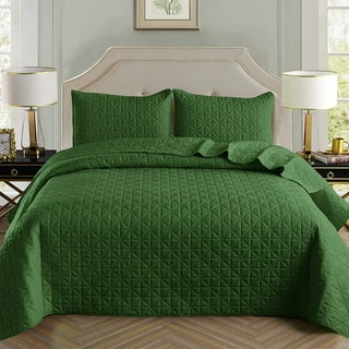 https://i5.walmartimages.com/seo/Exclusivo-Mezcla-3-Piece-King-Size-Quilt-Set-Pillow-Shams-Basket-Quilted-Bedspread-Coverlet-Bed-Cover-96x104-Inches-Grass-Green-Soft-Lightweight-Reve_f1ce3433-68d0-4d41-900c-79f558ffddc0.b376827734b53db0749c90653db404b0.jpeg?odnHeight=320&odnWidth=320&odnBg=FFFFFF
