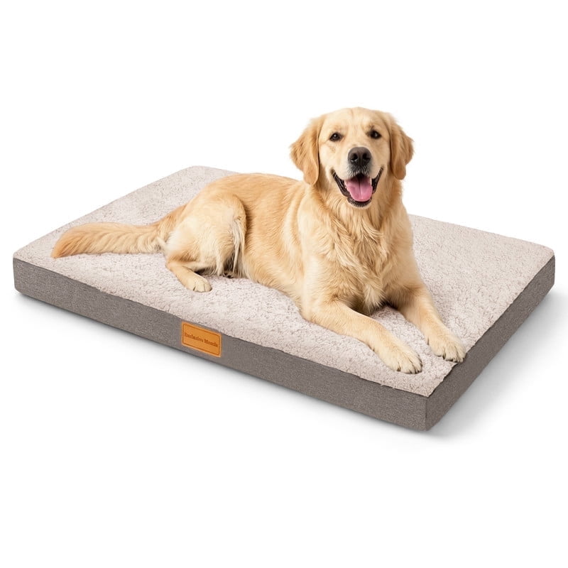 Exclusivo Mezcla Large Dog Bed with Removable and Washable Cover, Orthopedic Pet Bed for Crates, Non-Slip Bottom and Waterproof Liner, 42"×28", Ivory