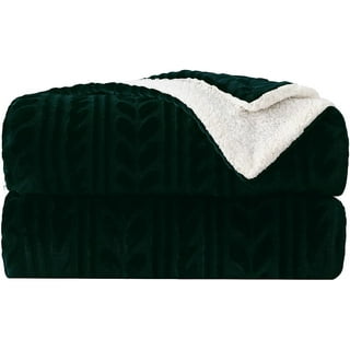 The Connecticut Home Company Soft Fluffy Warm Shag and Sherpa Throw Blanket,  Luxury Thick Fuzzy Blankets for Home and Bedroom Décor, Comfy Washable  Accent Throws for Sofa Beds, Couch, 65x50, Sage 