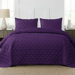 https://i5.walmartimages.com/seo/Exclusivo-Mezcla-Bed-Quilt-Set-King-Size-All-Seasons-Stitched-Pattern-Quilted-Bedspread-Bedding-Set-Coverlet-2-Pillow-shams-Lightweight-Soft-Purple_d68f286b-ace0-4753-9fdf-b0536940e743.f561a83ea3720f21846400ffab3bf9eb.jpeg?odnHeight=264&odnWidth=264&odnBg=FFFFFF