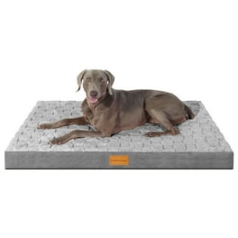 Memory foam dog bed walmart hotsell