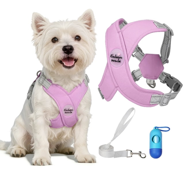 Exclusivo Mezcla Comfort Control Dog Harness with Leash and Poop Bags ...