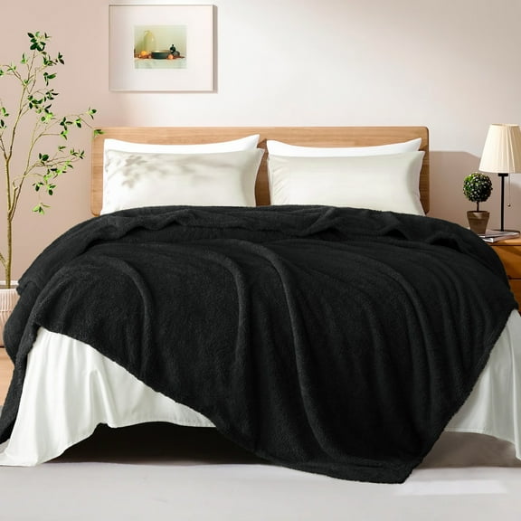 Exclusivo Mezcla Fuzzy Fleece Queen Size Bed Blanket, Lightweight Fluffy Solid Velvet Queen Blankets, 90x90 Inches, Black