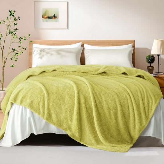 Exclusivo Mezcla Fuzzy Fleece Twin Size Bed Blanket, Lightweight Fluffy Solid Velvet Twin Blankets, 60x80 Inches, Light Green