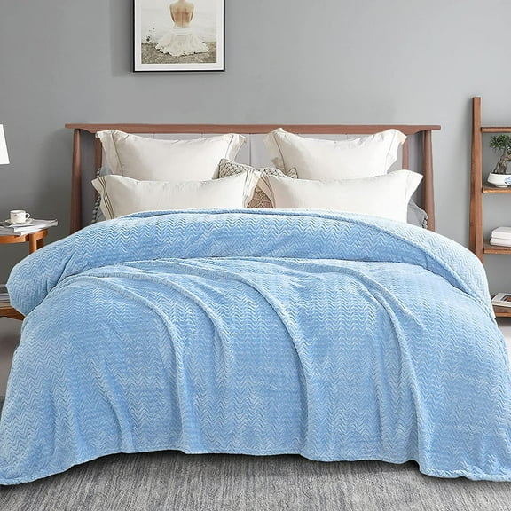 Exclusivo Mezcla King Size Jacquard Weave Wave Pattern Flannel Fleece Velvet Plush Bed Blanket as Bedspread/Coverlet/Bed Cover (90" x 104", Light Blue)