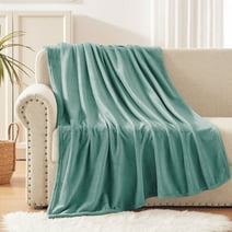 Exclusivo Mezcla Large Flannel Fleece Velvet Plush Throw Blanket - 50" x 60" (Celadon)