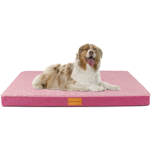 Exclusivo Mezcla Orthopedic Pet Bed for Small Dogs 20"X15", Waterproof