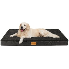 XXL Orthopedic Dog Bed Washable Great Dane Dog Sofa Beds for