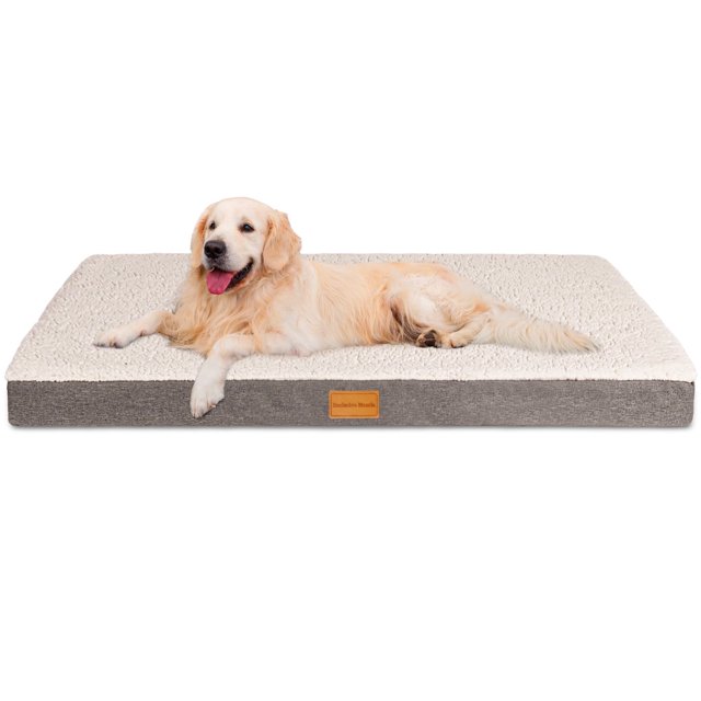 Exclusivo Mezcla Orthopedic Pet Bed for Extra Large Dogs, 56"X40" Ivory Dog Beds, Removable Washable Cover