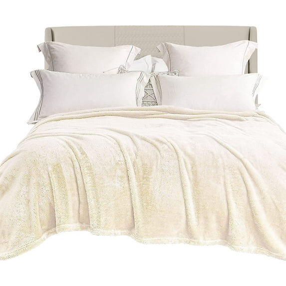 Exclusivo Mezcla Plush Fuzzy Fleece King Size Blanket, Super Soft Fluffy and Thick Blankets (Ivory, 90"x104")