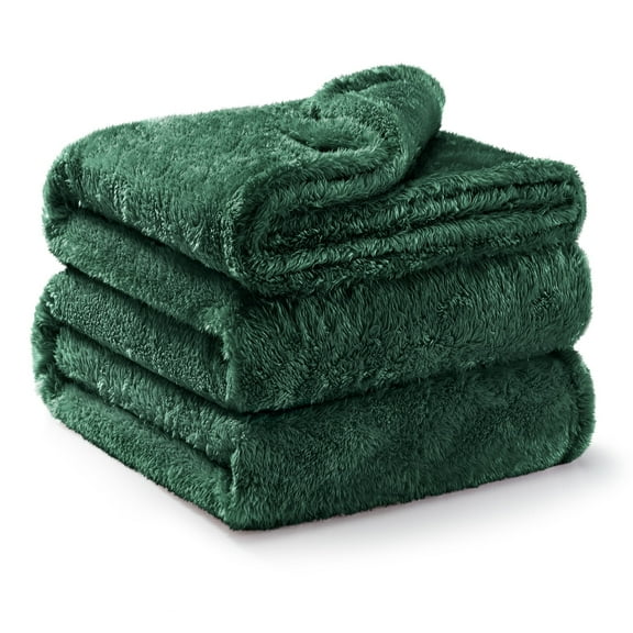 Exclusivo Mezcla Plush Fuzzy Fleece Queen Size Blanket, Super Soft Fluffy and Thick Blankets (Celadon, 90"x90")