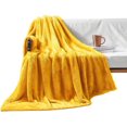 Exclusivo Mezcla Plush Fuzzy Large Fleece Throw Blanket (50" x 70