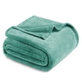 thumbnail image 1 of Exclusivo Mezcla Queen Size Flannel Fleece Velvet Plush Bed Blanket as Bedspread, Coverlet, Bed Cover (90"x90", Celadon), 1 of 11