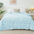 thumbnail image 1 of Exclusivo Mezcla Queen Size Fleece Blanket for Bed, Leaves Pattern Super Soft and Cozy Blankets, Plush Fuzzy Lightweight, Ice Blue, 90"x90", 1 of 7