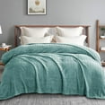 thumbnail image 1 of Exclusivo Mezcla Queen Size Jacquard Weave Wave Pattern Flannel Fleece Velvet Plush Bed Blanket as Bedspread/Coverlet/Bed Cover (90" x 90", Celadon), 1 of 8