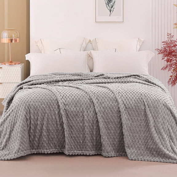 Exclusivo Mezcla Queen Size Soft Fleece Blanket, 90"x90" Stylish Jacquard Velvet Blanket for Bed, Cozy Soft Lightweight for All Season, Light Grey