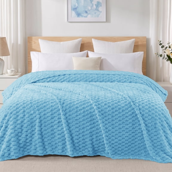 Exclusivo Mezcla Queen Size Soft Fleece Blanket, 90"x90" Stylish Jacquard Velvet Blanket for Bed, Cozy Soft Lightweight for All Season, Blue