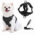 thumbnail image 1 of Exclusivo Mezcla Pet Harness and Leash Set, Adjustable Reflective Walking Dog Harness for Small Dogs, No Pull Soft Mesh Puppy Harness, Black, S, 1 of 7